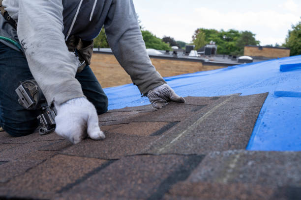 Best Roof Maintenance Services  in Janesville, WI