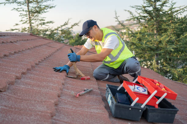 Best Residential Roofing Contractor  in Janesville, WI