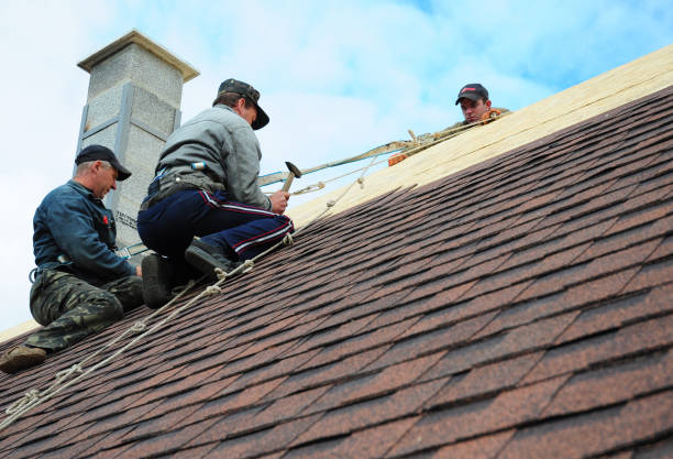 Best Flat Roof Repair Services  in Janesville, WI